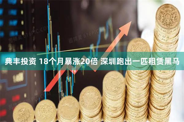典丰投资 18个月暴涨20倍 深圳跑出一匹租赁黑马