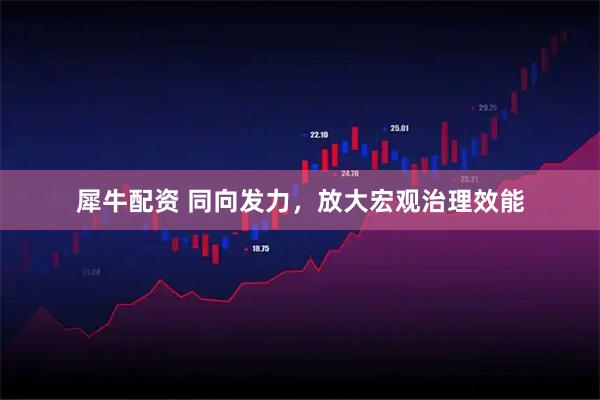 犀牛配资 同向发力，放大宏观治理效能